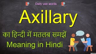 Axillary meaning  Axillary  Axillary Example  Axillary meaning [upl. by Linzy842]