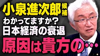 【自民党総裁選】小泉進次郎候補が理解できていない日本の問題点を高市早苗候補を支持する西田昌司さんと竹田恒泰さんが話してくれました（虎ノ門ニュース切り抜き） [upl. by Eilrebmik983]