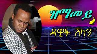 Lyrics  ዳዊት ሽላን  ዝማመይ  Dawit Shlan  Zmamey Old Tigrigna Love Song [upl. by Berkman]