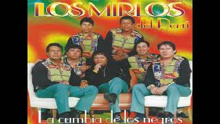 Cumbias andinas  Los Mirlos [upl. by Irahs572]