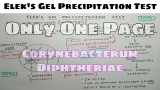 Eleks Gel Precipitation Test  Microbiology  The Charsi of Medical Literature [upl. by Seroka22]