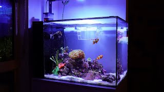 1 Month Update  Waterbox Peninsula 25 [upl. by Aldas]