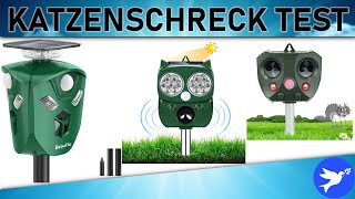 ᐅ Katzenschreck Test 2023  Die besten Katzenschrecks vorgestellt [upl. by Talley]