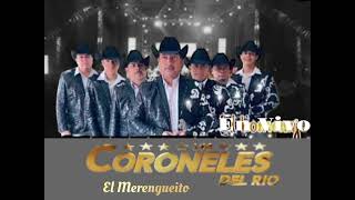 CORONELES DEL RIO En Vivo  El Merengueito  Cover [upl. by Ronile572]