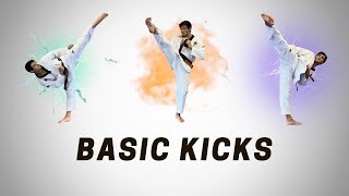 Taekwondo Basic Kicks [upl. by Wren]