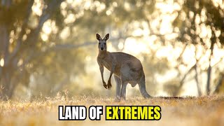 The Untold Story of Australia’s Harshest Desert and Its Wild Inhabitants [upl. by Rutger]