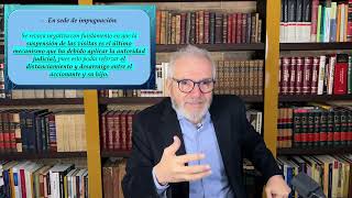 Síndrome de Alienación Parental violencia de género institucional y Responsabilidad Estatal [upl. by Aigroeg]