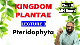 Pteridophyta Kingdom Plantae Lecture 3  Class 11 Biology  Maharashtra State Board [upl. by Aikin]