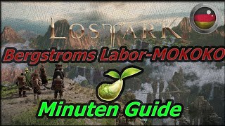 Ger Bergstroms Labor Mokoko Guide unter einer Minute [upl. by Pomona]