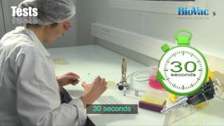 How to serotype bacteria by Rapid Plate Agglutination Test [upl. by Hourihan]