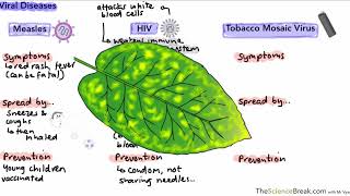 Communicable Diseases for AQA 91 GCSE Biology and Trilogy Combined Science [upl. by Chi11]