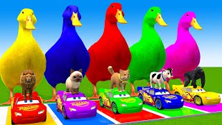 5 Giant Duck CartoonCowElephantGiraffeTigerLion Paint Wild Animals Crossing Fountain Animation [upl. by Eidok]