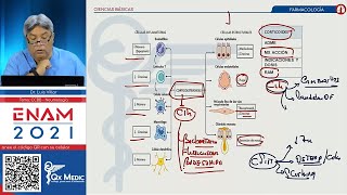 NEUMOLOGÍA Farmacología ENAM 2021 [upl. by Nazarius]