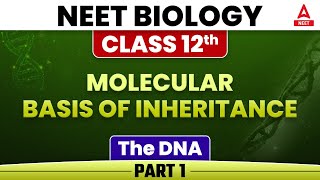 Molecular Basis Of Inheritance  The DNA  Part 1  Class 12NEET Biology Chapter 6 [upl. by Skip]