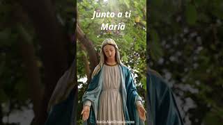 Junto a ti María VirgenMaría cantosalaVirgen músicacatolica [upl. by Karylin]