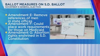 South Dakota Ballot Measures [upl. by Lenes]