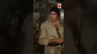 Laawaris 1981 लावारिस  Amitabh Bachchan  Zeenat Amaan  Amjad Khan [upl. by Sukramal549]