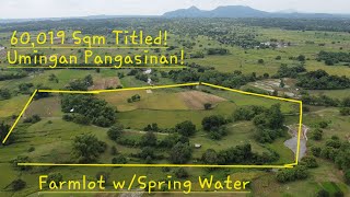 Magandang Farmlot na may bukal sa Umingan Pangasinan 6 hectares 8million LangAerial View vlog 613 [upl. by Joed972]