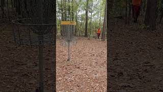 discgolf discgolflife discmania discmaniap3x disclife dangdiscgolf birdie workingmansbirdie [upl. by Stormi]