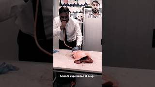 Human Lungs experiment in Science Lesson  shorts science teacher lungs [upl. by Meehyr]