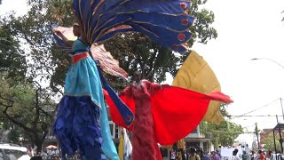 Traditional Carnival Characters Parade Through Capital City [upl. by Marozik]