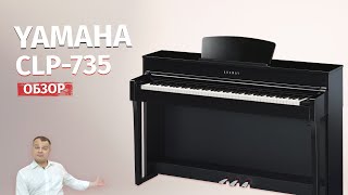 💥Обзор Yamaha Clavinova CLP 735  Хороший инструмент [upl. by Telracs]