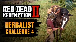 Red Dead Redemption 2 Herbalist Challenge 4 Guide  Pick 5 mushrooms and feed them to your horse [upl. by Audwen444]