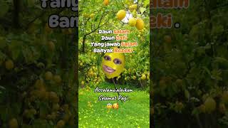 Haloo temen2 videoviral lucu lemon [upl. by Tfat]