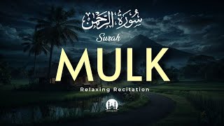 Surah AlMulk  سورة الملك  Calming and Relaxing Quran Recitation  ZONA QURAN [upl. by Nnylamme]