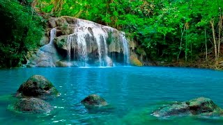 Entspannungsmusik  Wald Wasserfall  Musik zum Lernen Studieren [upl. by Middle]