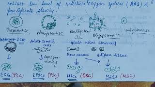 Stem cells definition characteristic amp its types stemcells zoologynotes alkaranigupta8791 [upl. by Roban926]