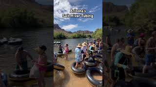 Arizona’s Salt River Tubing travel floating arizona saltriver [upl. by Sinnej586]