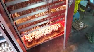 Strong 💪 Hatchery Egg 🥚 Incubator machine all India 🇮🇳 Dalivery Availabel 91012 73660 🥚 🥚 🥚 🥚 [upl. by Leuqim]