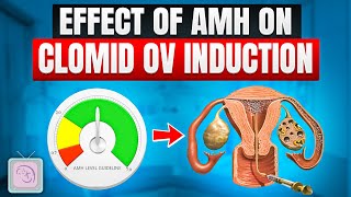 Does a low AMH predict success rates with Clomid [upl. by Graniela66]