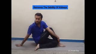 Ardha Matsyendrasana अर्ध मत्स्येन्द्रासन [upl. by Maurey]