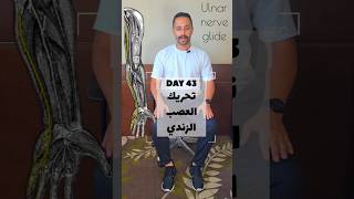 DAY 43  تحريك و تحرير العصب الزندي  Ulnar nerve gliding neurodynamics [upl. by Ryan]