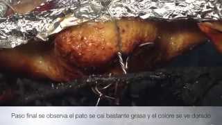 pato asado estilo cantones [upl. by Doowrehs]