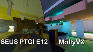 SEUS PTGI E12 VS MollyVX Comparison  Minecraft 2021 [upl. by Aleahcim]