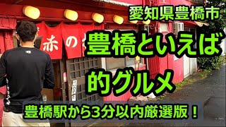 愛知県豊橋市 豊橋といえば的なグルメ紹介 [upl. by Ofori721]