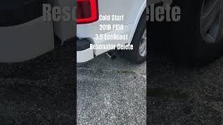 2018 F150 35 EcoBoost Resonator DELETE [upl. by Luapnhoj]