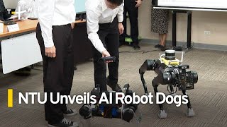 National Taiwan University Team Unveils Autonomous Robot Dogs  TaiwanPlus News [upl. by Gertie]