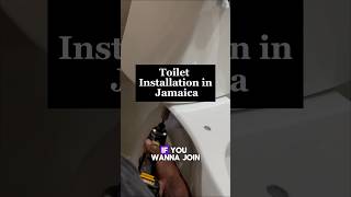 Secrets to Installing a Kohler Toilet Easily [upl. by Englebert]