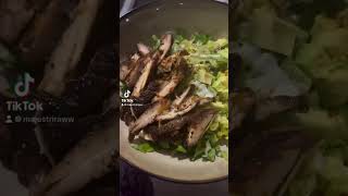 HIGH PROTEIN LOW CARB healthy chickenrecipes highprotein yummy [upl. by Zoller169]