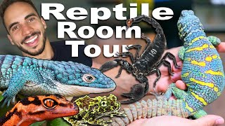 Exotic amp Rare Reptile Room Tour [upl. by Rego960]