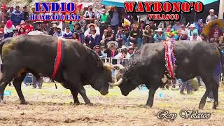 WAYRONQO VELASCO VS INDIO HUARAQUEÑO Toro Tinku Pascua 2024 San Pedro de Buena Vista [upl. by Cram]