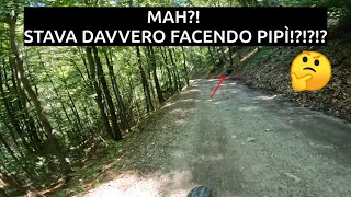 Da Lecco ad Artavaggio in MTB  SALITA [upl. by Hahnert]