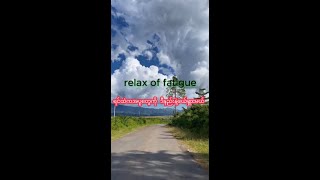 relaxing of fatigueတနေ့တာ စိတ်အပန်းဖြေနည်းနှလုံးစိတ်၀မ်းအေးချမ်းကြပါစေ [upl. by Jacquenetta]