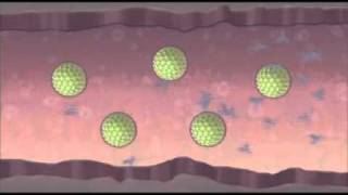 How does the HPV vaccine work [upl. by Enomys]