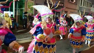 Aalst carnaval 2019  AKV BEDESTERD [upl. by Loella237]