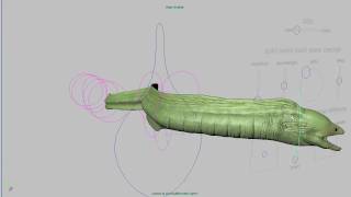 Moray Eel 3D rigged model [upl. by Prince]